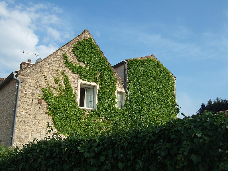 2010-05- (173).JPG